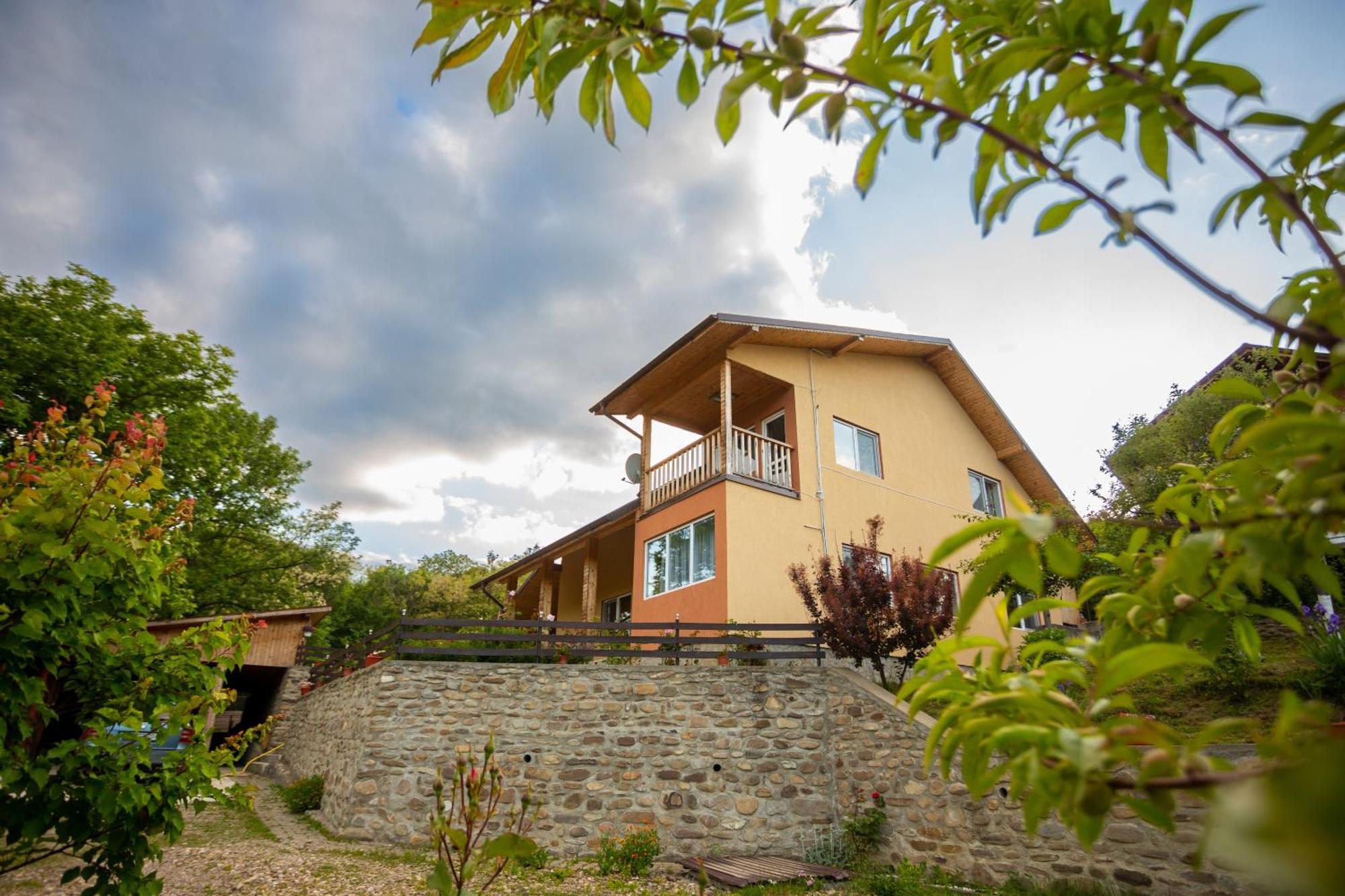 Casa Rumelia Paltineni Exteriér fotografie