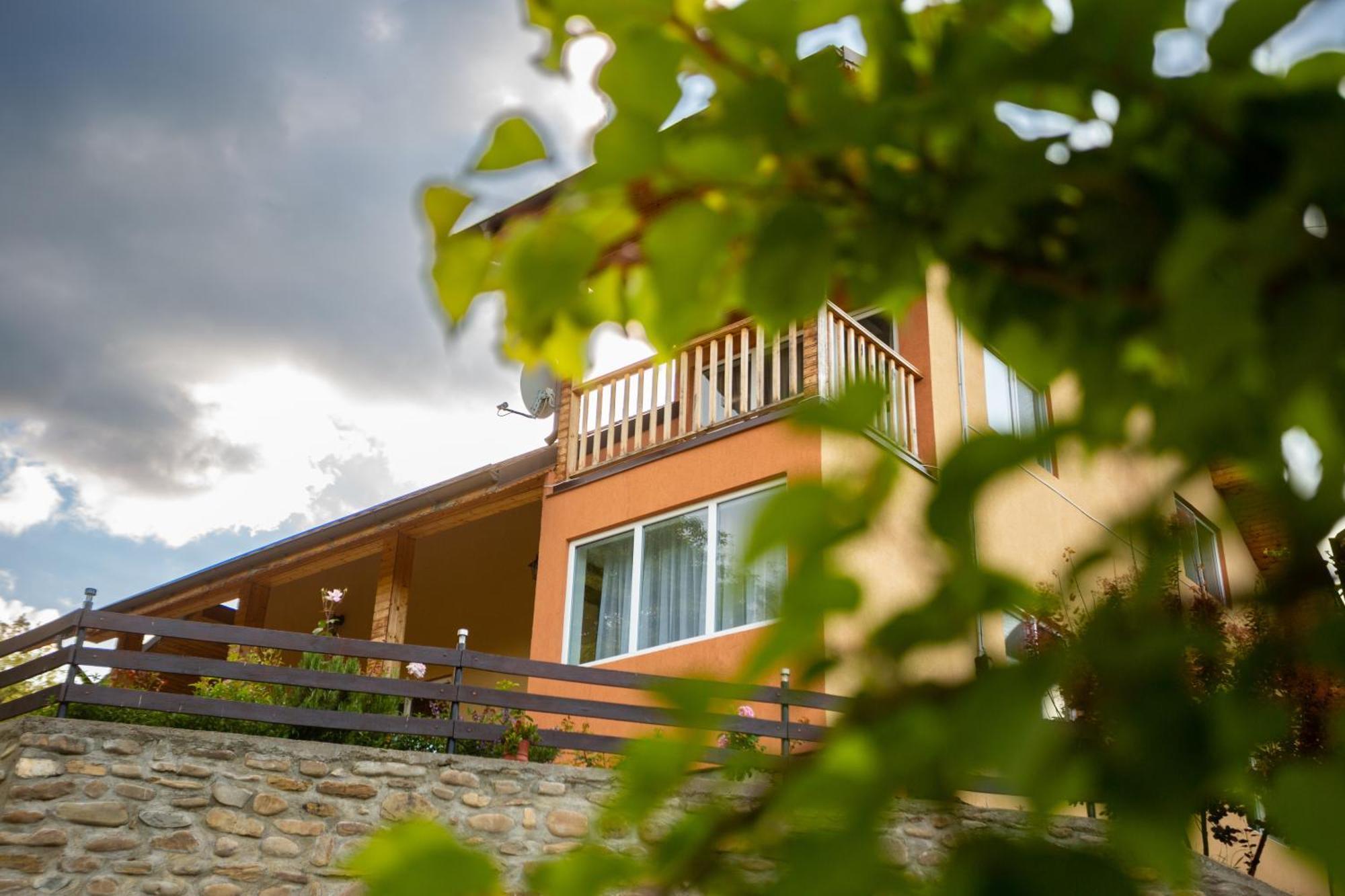 Casa Rumelia Paltineni Exteriér fotografie