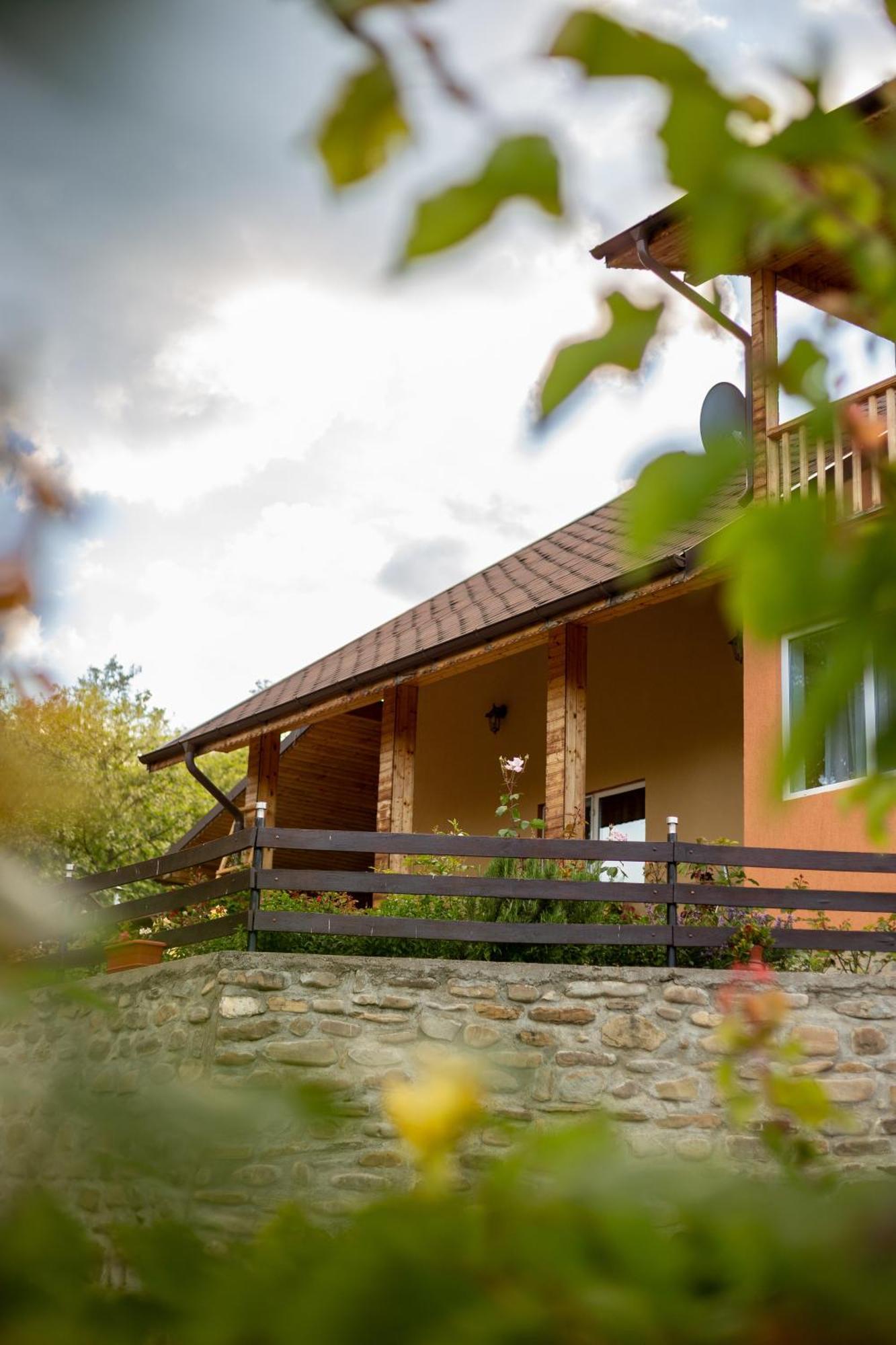 Casa Rumelia Paltineni Exteriér fotografie