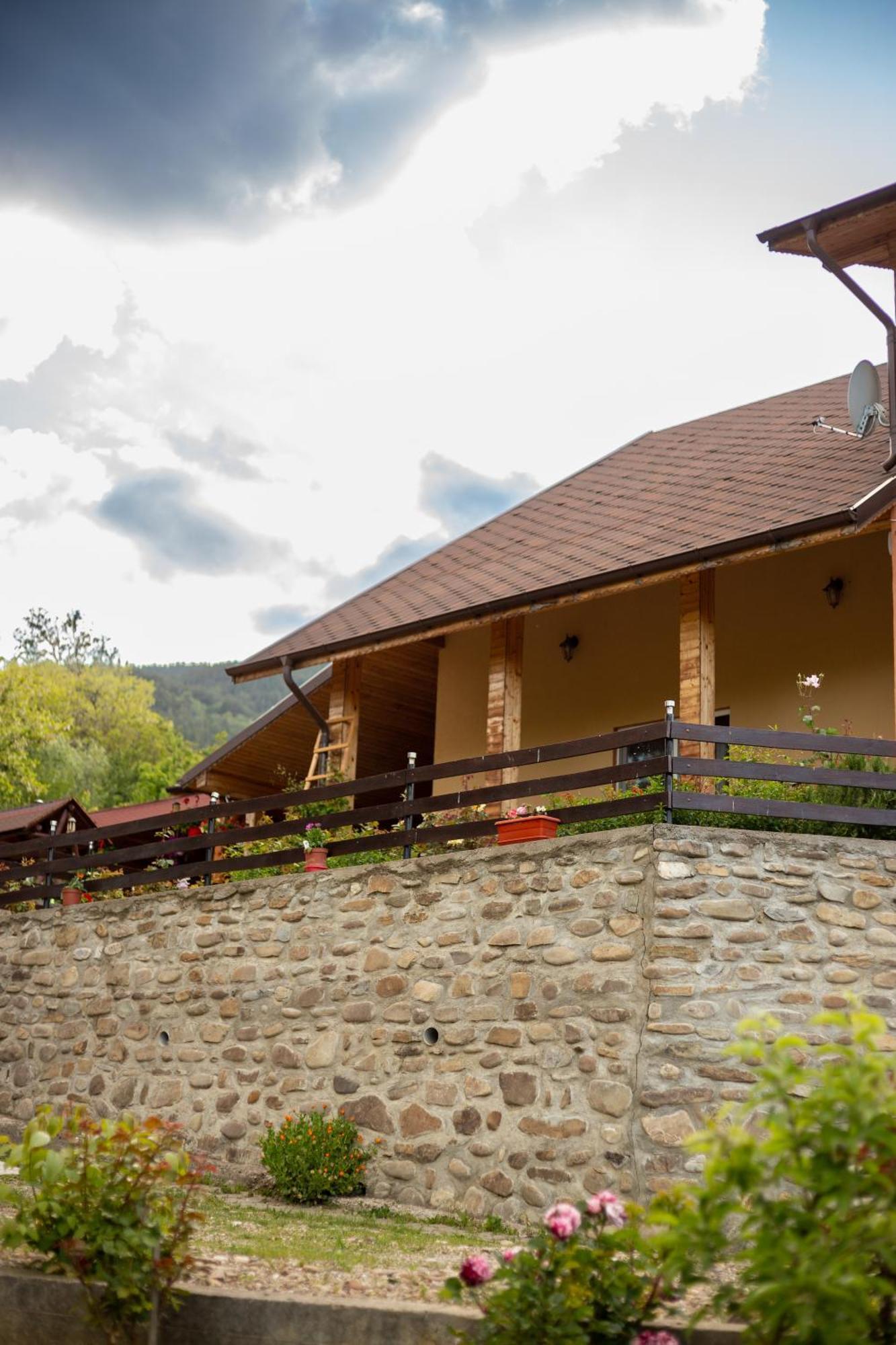 Casa Rumelia Paltineni Exteriér fotografie